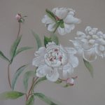 Pivoines blanches,gouache sur papier teinté,50x65cm