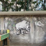 Rhinocéros, Vince, en hommage au jeune rhinocéros abattu pour sa corne au zoo de Thoiry.